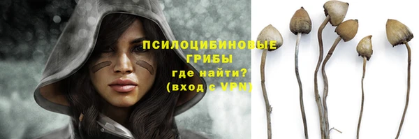 ешки Надым