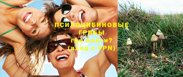 ешки Надым