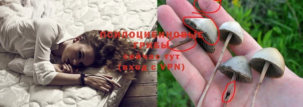 ешки Надым