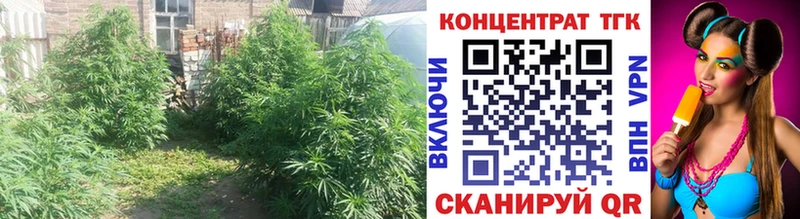 ТГК жижа  закладки  blacksprut ТОР  Сычёвка 